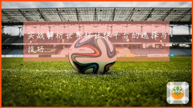 实战解析世界杯让球平台的选择与技巧