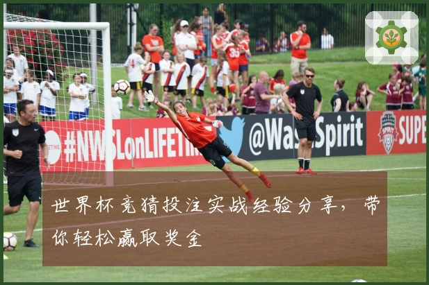 世界杯竞猜投注实战经验分享，带你轻松赢取奖金