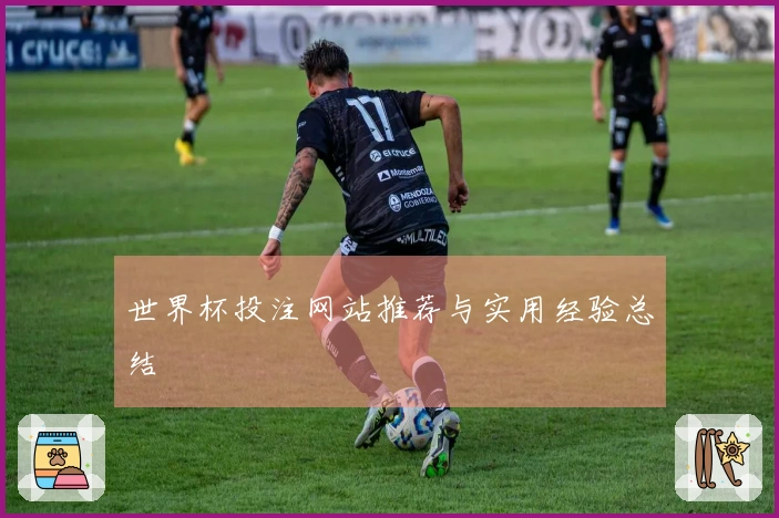 世界杯投注网站推荐与实用经验总结