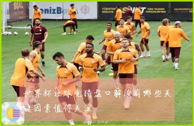 世界杯让球竞猜盘口解读有哪些关键因素值得关注