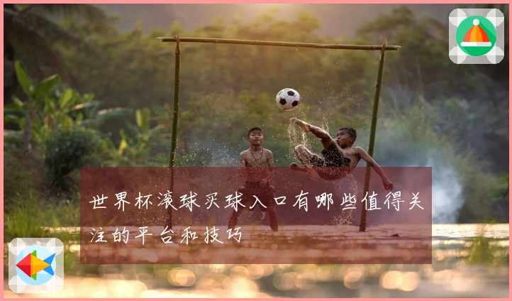 世界杯滚球买球入口有哪些值得关注的平台和技巧