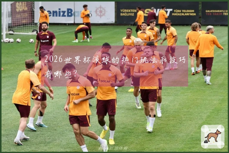 2026世界杯滚球的热门玩法和技巧有哪些？