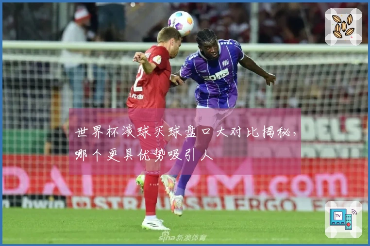 世界杯滚球买球盘口大对比揭秘，哪个更具优势吸引人