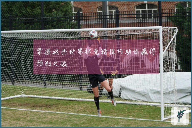 掌握这些世界杯竞猜技巧助你赢得预测之战