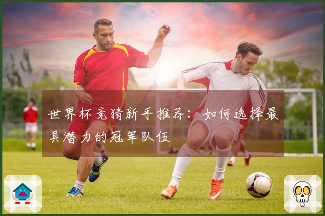 世界杯竞猜新手推荐：如何选择最具潜力的冠军队伍