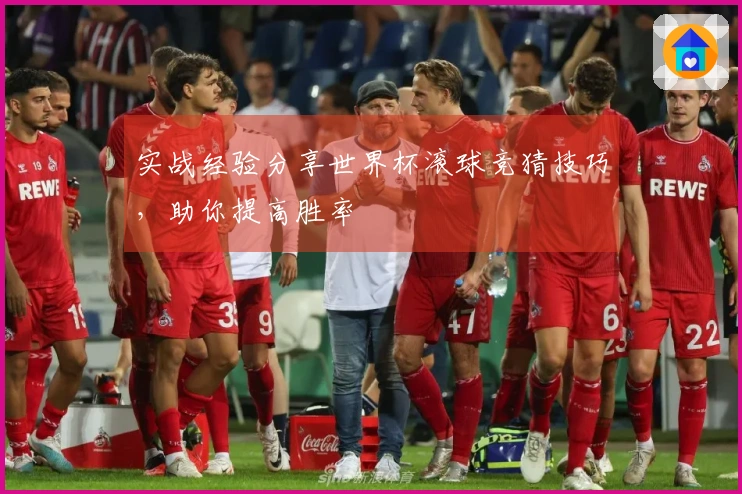 实战经验分享世界杯滚球竞猜技巧，助你提高胜率