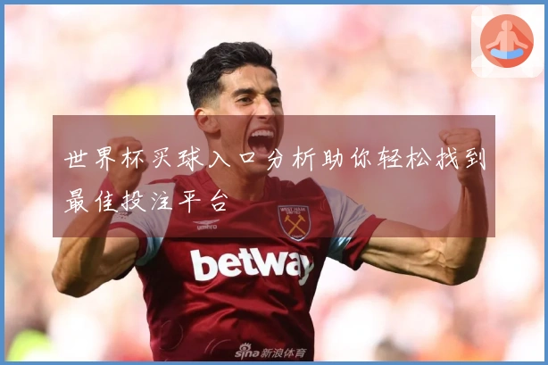 世界杯买球入口分析助你轻松找到最佳投注平台